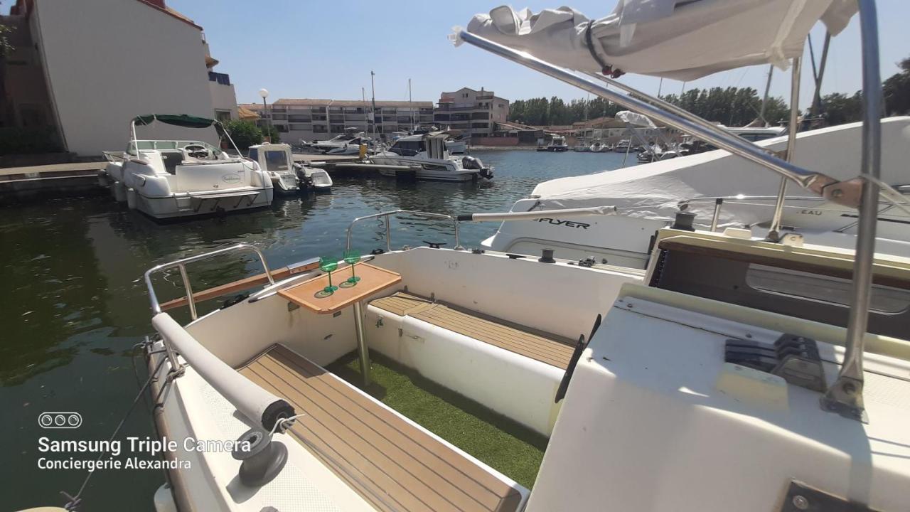 Nuit Insolite A Bord De L'Enata Un Voilier A Quai Sur La Marina De St Cyprien Saint-Cyprien  Exterior foto